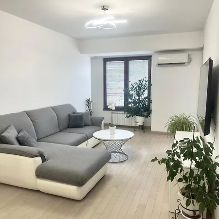 Apartment Skyline Oasis